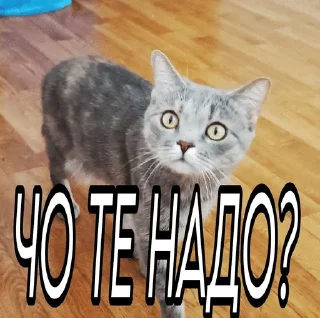 NastyaKrasoto4kaRealno