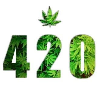 4 гвардейское 22-26