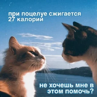 😏 ., стікер Telegram 18 з 45