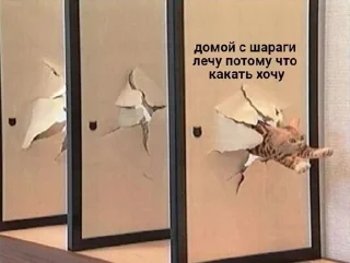 🤡 ., стікер Telegram 10 з 45