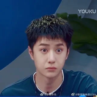 🦁 Wang Yibo, стикер Telegram 4 из 51