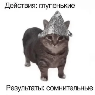 🌟 сави :: @bu1ler, стікер Telegram 19 з 82
