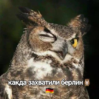 СОВА