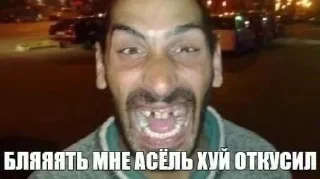 🌟 Сова сова сова, Telegram sticker 22 of 77