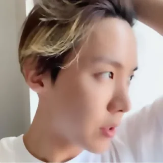 📻 ((📻) – ’’✷ hoseok ! @n1miraclestick, Telegram sticker 19 of 40