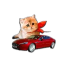💁 подарки ок, sticker Telegram 6 sur 44
