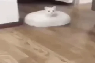 Хуйня из тт🫩✌️