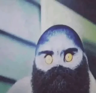 🥀 Хуйня из тт🫩✌️, стікер Telegram 20 з 61