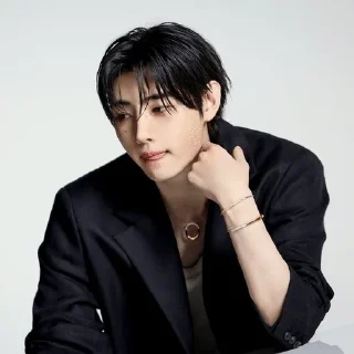 🌟 sunghoon @kirliing, стікер Telegram 18 з 51