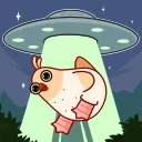 🛸 Derpi, sticker Telegram 16 sur 41