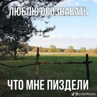 🌟 Мне оно надо, sticker Telegram 18 sur 69