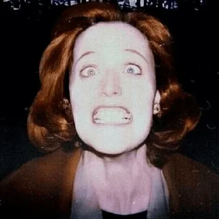 Ꮚ⁠˘⁠ ⁠ꈊ⁠ ⁠˘⁠ ⁠Ꮚ