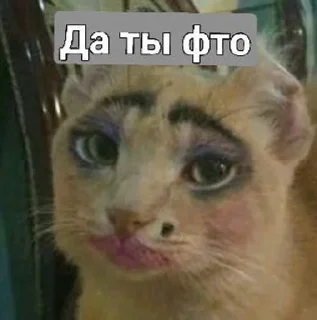 Ядерный понос