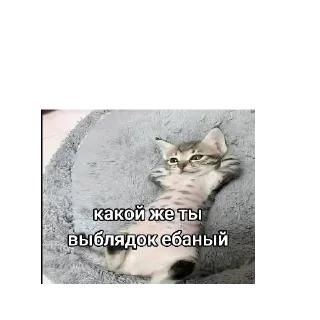😄 Понятно, sticker Telegram 1 sur 27
