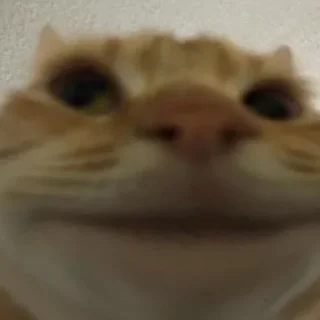 😊 успєх..., стикер Telegram 20 из 50
