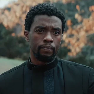 🔥 Black Panther, стикер Telegram 8 из 55