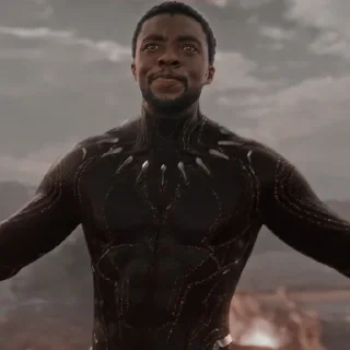 🔥 Black Panther, стикер Telegram 7 из 55