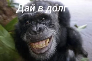 Ичо