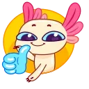 Axolotl