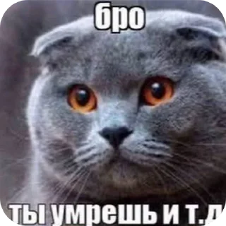 🐱 blue emoji, стікер Telegram 6 з 33