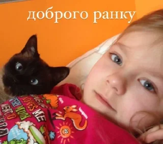 ☀️ чих пых, стікер Telegram 23 з 65