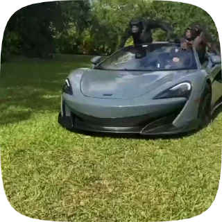 😎 ♂️Cumaster♂️, стікер Telegram 23 з 48