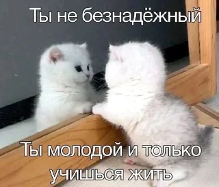 🌟 @w0lter_no_printer, sticker Telegram 21 sur 81
