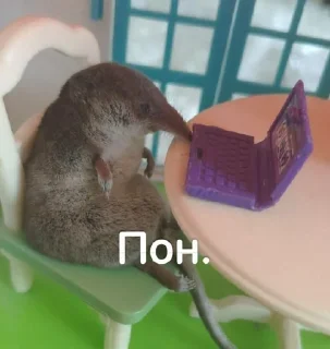 🌟 Борис Лов, sticker Telegram 14 sur 25