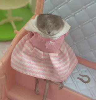 Борис Лов