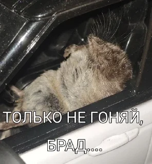 🌟 Борис Лов, sticker Telegram 24 sur 25