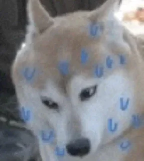 😰 bemsiki, sticker Telegram 24 sur 64