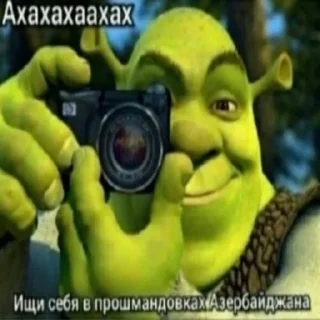 📸 шакалы, Telegram sticker 18 of 83