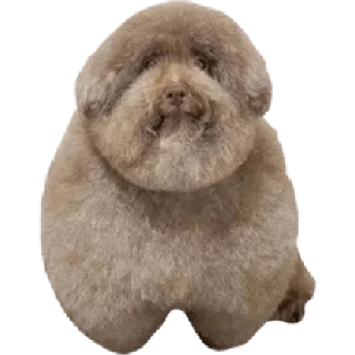 👑 Ебучие, sticker Telegram 1 sur 12