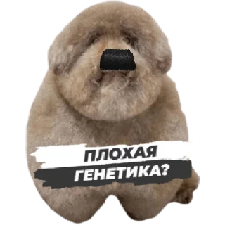 👑 Ебучие, sticker Telegram 12 sur 12