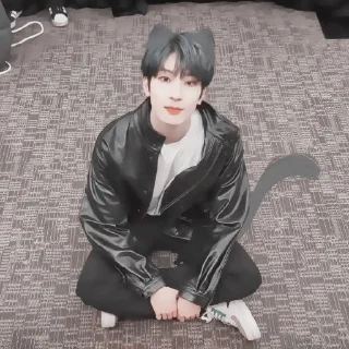 🎂 wonwoo : hb2u ! fr @lomicor 🎂, стикер Telegram 10 из 70
