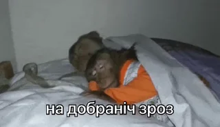 🌙 зроз 3 @zroz_monkey, стикер Telegram 5 из 31