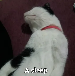 😴 Мамина радость, Telegram sticker 3 of 59