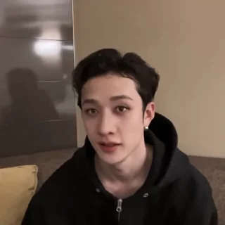 🍲 ★'' BANGCHAN & @LO6V3R -, стикер Telegram 19 из 30