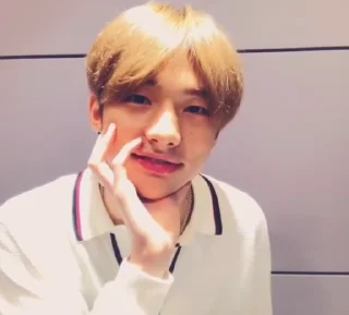 hyunjin @ARA2VH
