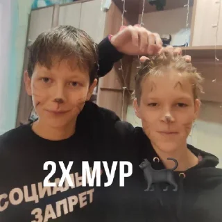 🐈‍⬛ Бесплатная пицца 🍕, стикер Telegram 18 из 24