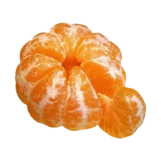 🍊 Едаа😋🍩, стикер Telegram 19 из 51