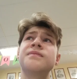 🤔 Семья, стикер Telegram 12 из 55