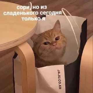 ❤️ Любовь, sticker Telegram 11 sur 81