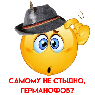 😯 Волжские Немцы, стікер Telegram 9 з 15