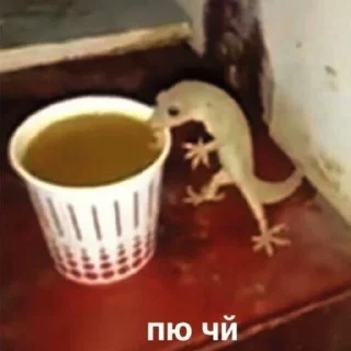 🥃 анньенхасэйо пт2, Telegram sticker 16 of 120