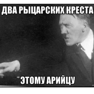 фюрер и немцы