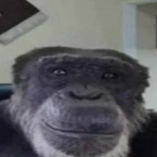 для гениев
