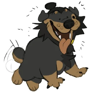 Vier the Rottweiler
