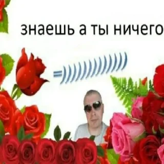 💐 что такое лягушки @stolen_meme_s, стікер Telegram 20 з 75