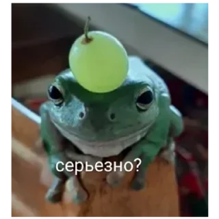 😑 Лягушки🤟, стікер Telegram 6 з 12